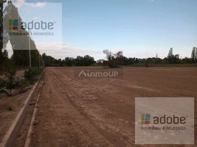 Terreno en Venta en Lujan de Cuyo, Mendoza