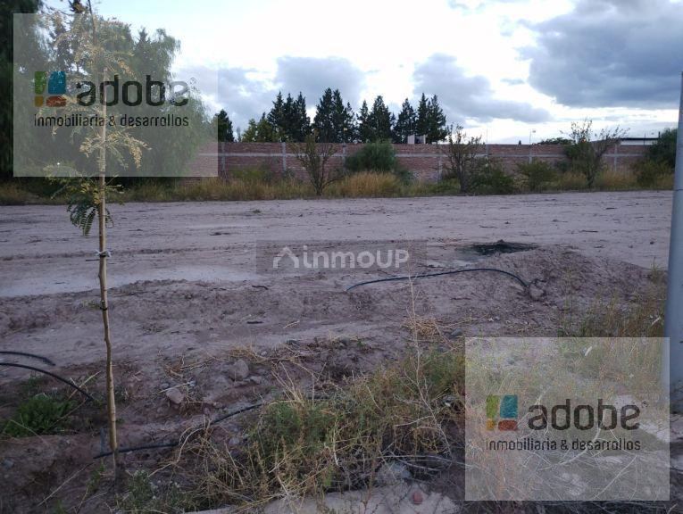 Terreno en Venta en Maipu, Mendoza