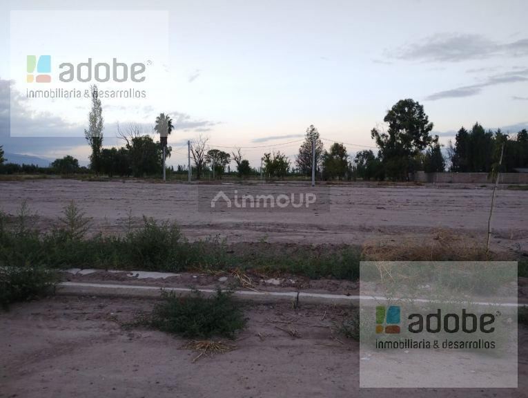 Terreno en Venta en Maipu, Mendoza
