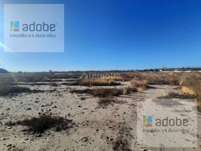 Terreno en Venta en Maipu, Mendoza