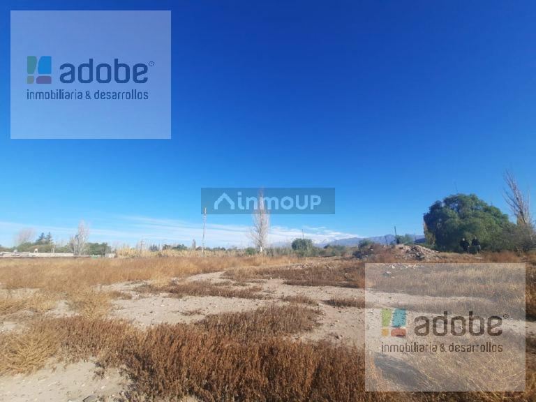Terreno en Venta en Maipu, Mendoza