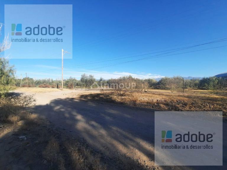 Terreno en Venta en Maipu, Mendoza