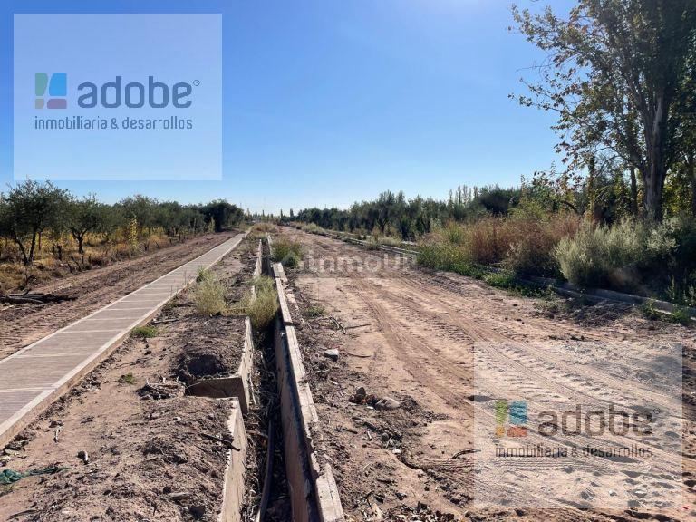 Terreno en Venta en Maipu, Mendoza