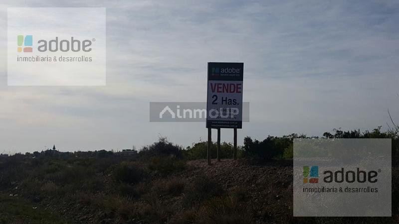Terreno en Venta en Lujan de Cuyo, Mendoza