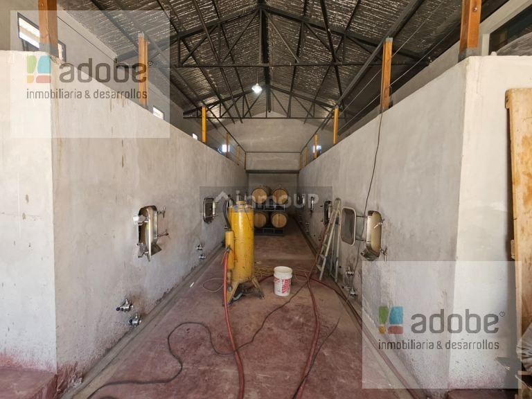 Bodega en Venta en Tunuyan, Mendoza