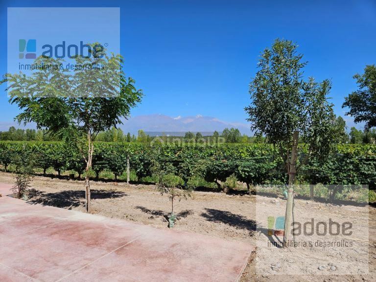 Bodega en Venta en Tunuyan, Mendoza