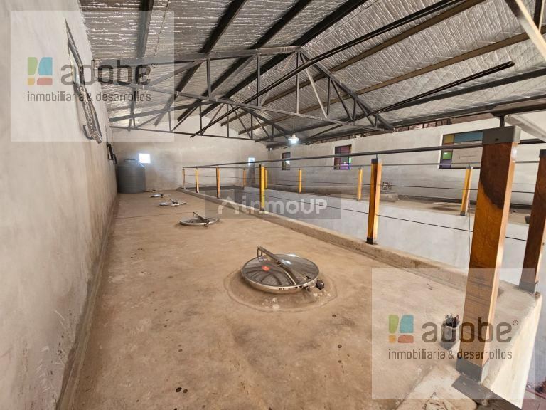 Bodega en Venta en Tunuyan, Mendoza
