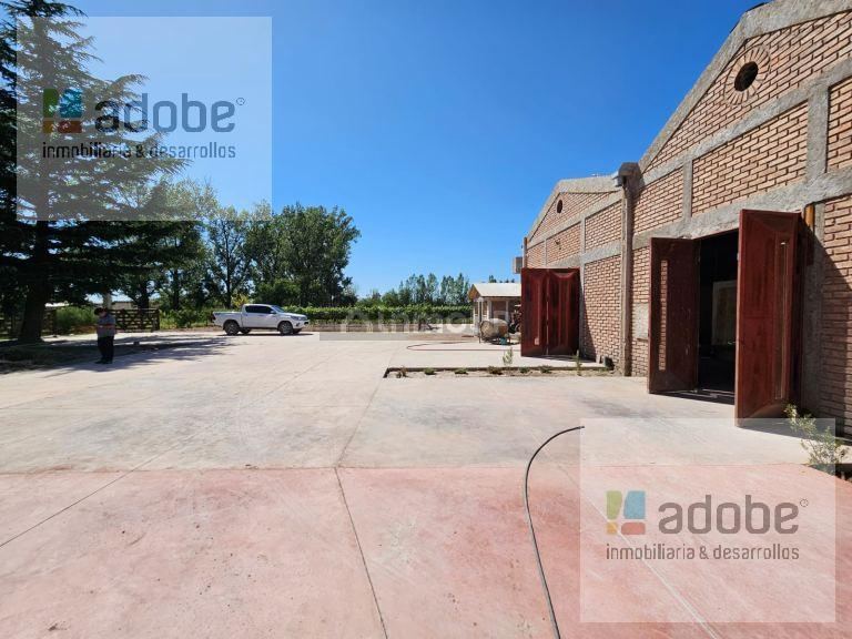 Bodega en Venta en Tunuyan, Mendoza