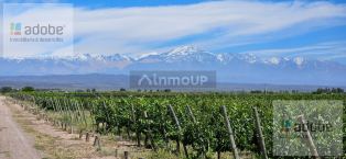 Lujan de Cuyo Ruta 40 Ugarteche, Lujan de Cuyo