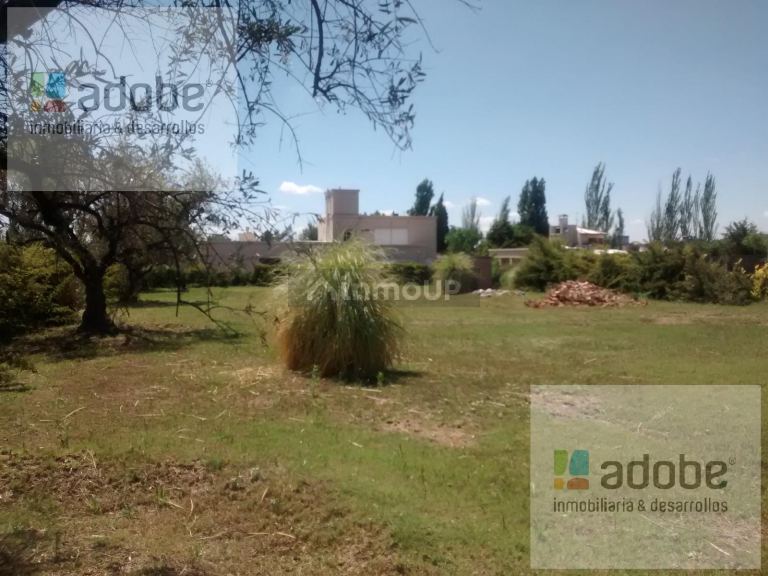 Terreno en Venta en Maipu, Mendoza