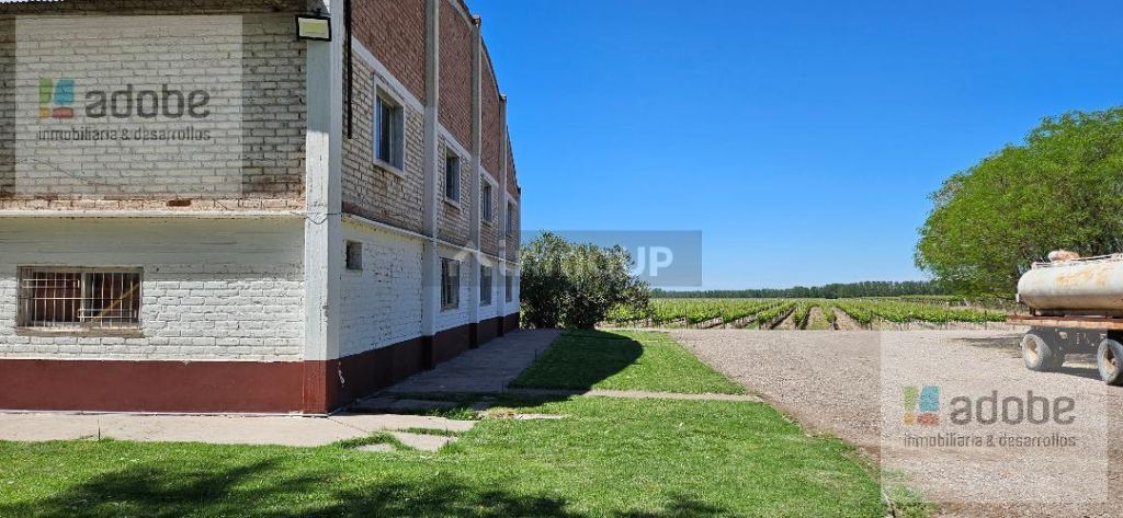 Finca en Venta en Lujan de Cuyo, Mendoza