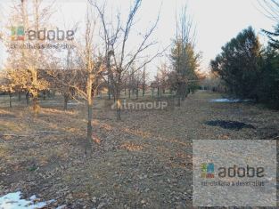 Lujan de Cuyo Las Palmas 7550, Vistalba
