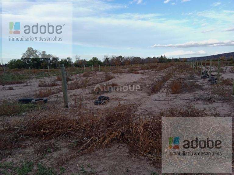Terreno en Venta en Lujan de Cuyo, Mendoza