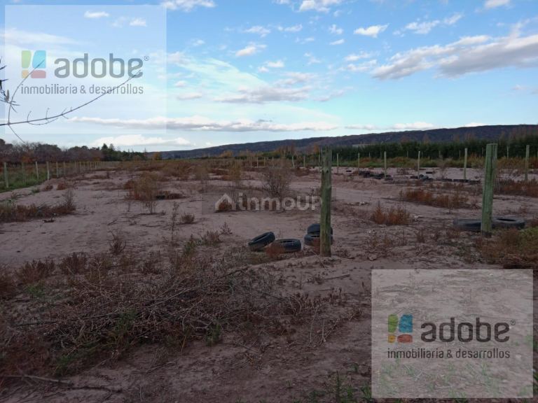 Terreno en Venta en Lujan de Cuyo, Mendoza