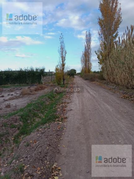 Terreno en Venta en Lujan de Cuyo, Mendoza