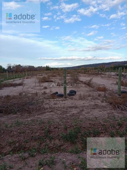 Terreno en Venta en Lujan de Cuyo, Mendoza