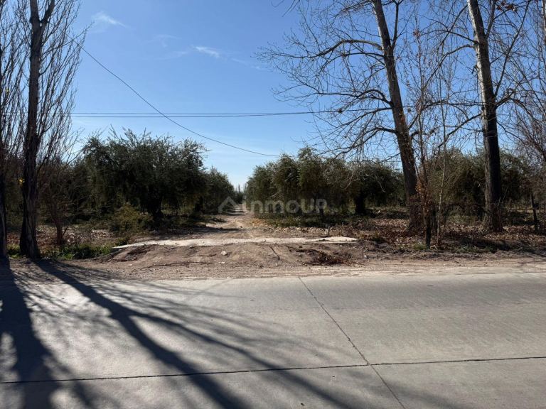 Finca en Venta en Maipu, Mendoza