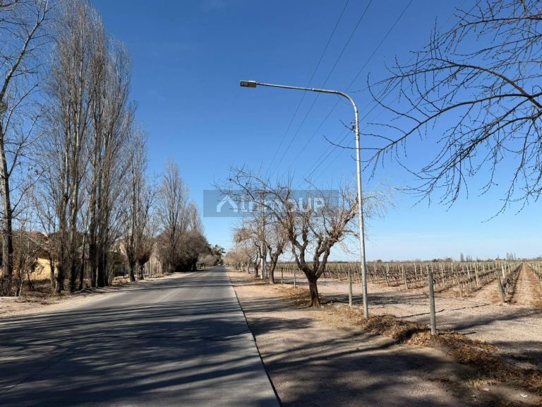 Finca en Venta en Maipu, Mendoza