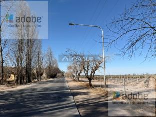 Maipu Calle Mitre S/N