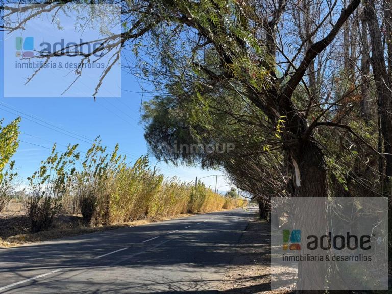 Finca en Venta en Maipu, Mendoza - USD 480.000 | Inmoup - 7