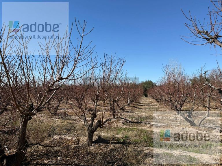 Finca en Venta en Maipu, Mendoza - USD 480.000 | Inmoup - 6