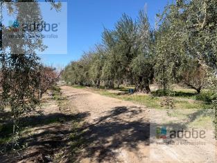 Maipu Calle Bruno Moron al 2500, Coquimbito