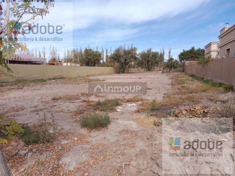 Terreno en Venta en Lujan de Cuyo, Mendoza - USD 50.000 | Inmoup - 4