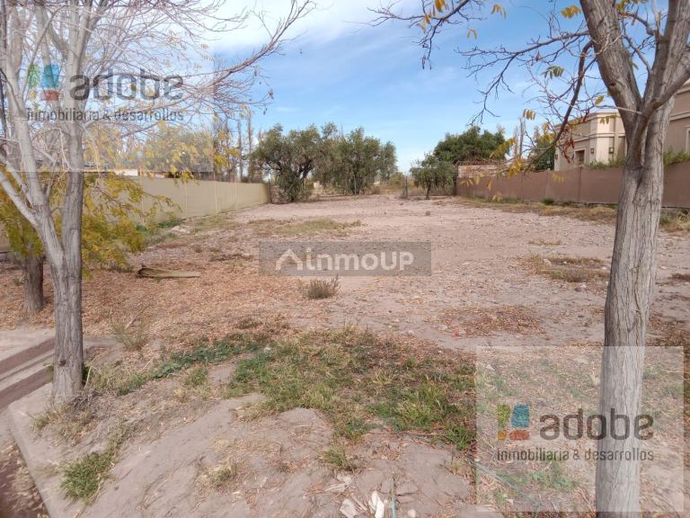 Terreno en Venta en Lujan de Cuyo, Mendoza - USD 50.000 | Inmoup - 2