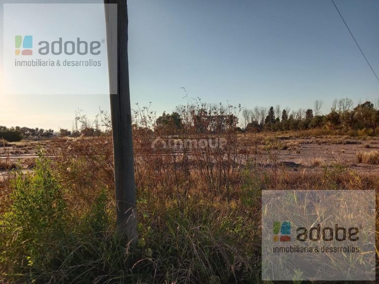 Terreno en Venta en Maipu, Mendoza