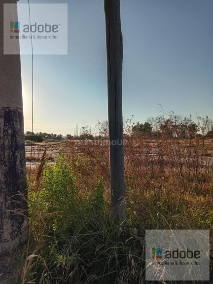 Terreno en Venta en Maipu, Mendoza