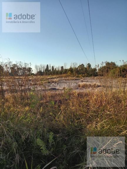 Terreno en Venta en Maipu, Mendoza
