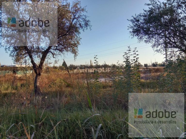 Terreno en Venta en Maipu, Mendoza