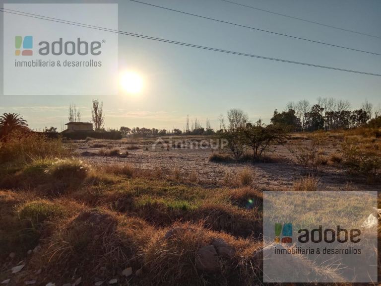 Terreno en Venta en Maipu, Mendoza