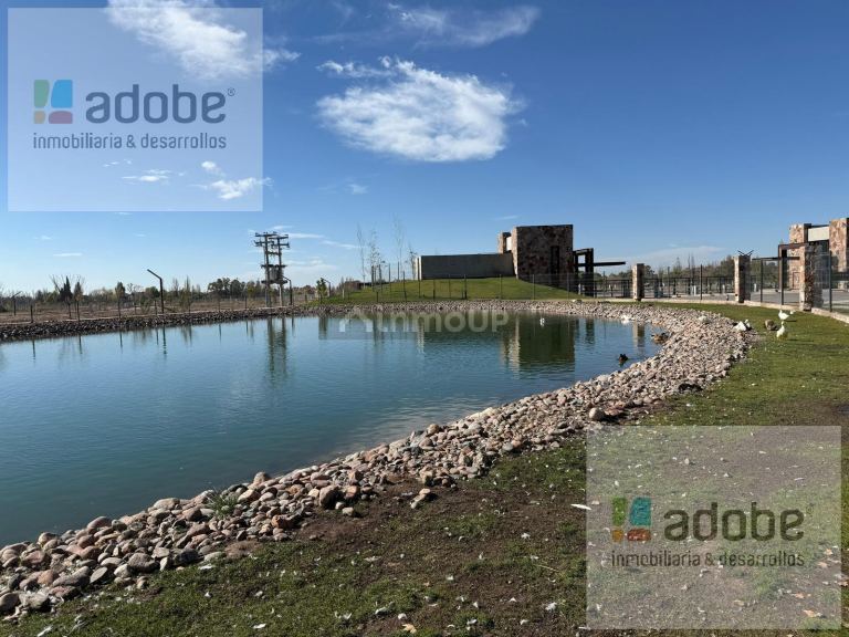 Terreno en Venta en Lujan de Cuyo, Mendoza