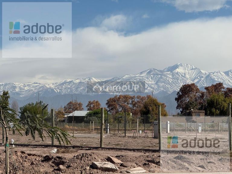 Terreno en Venta en Lujan de Cuyo, Mendoza