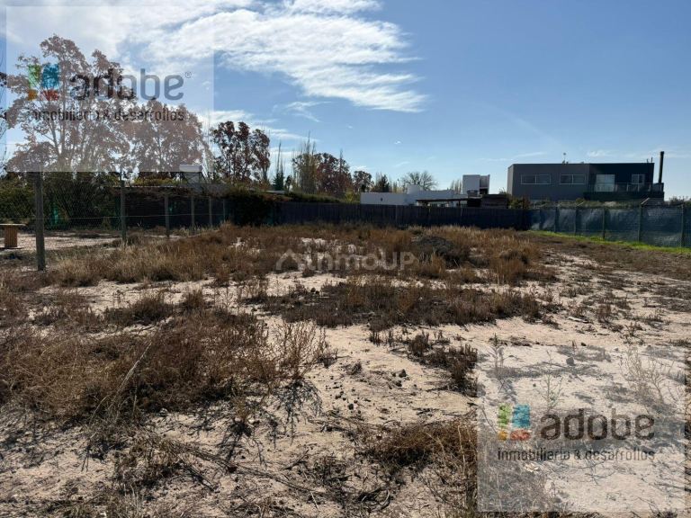 Terreno en Venta en Lujan de Cuyo, Mendoza