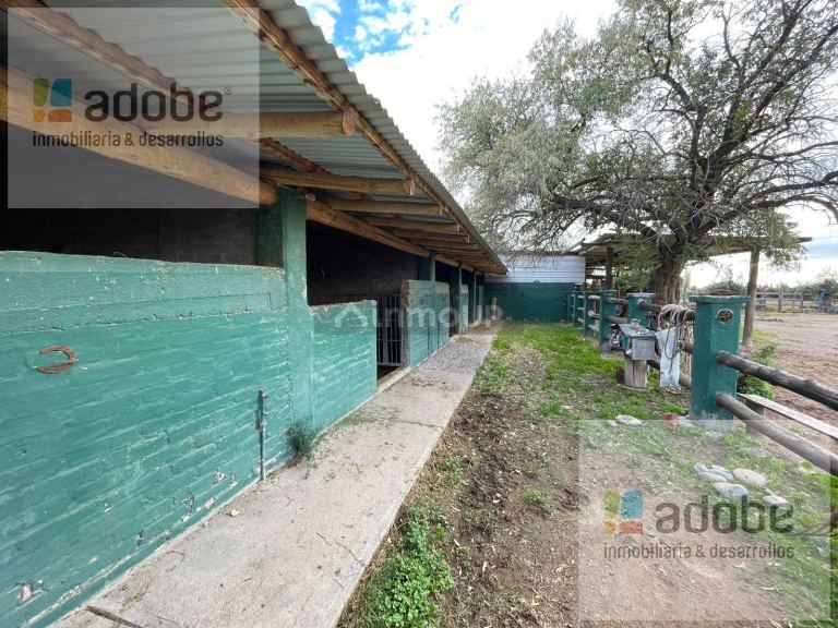 Finca en Venta en Lujan de Cuyo, Mendoza