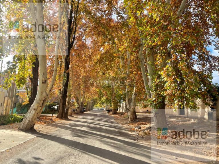 Finca en Venta en Lujan de Cuyo, Mendoza