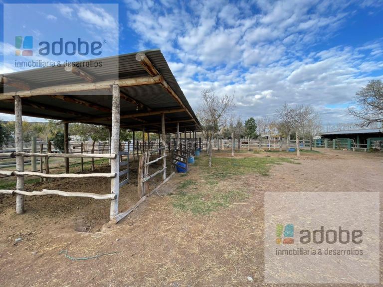 Finca en Venta en Lujan de Cuyo, Mendoza