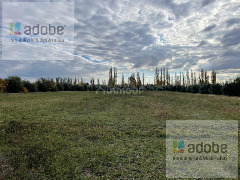 Finca en Venta en Lujan de Cuyo, Mendoza