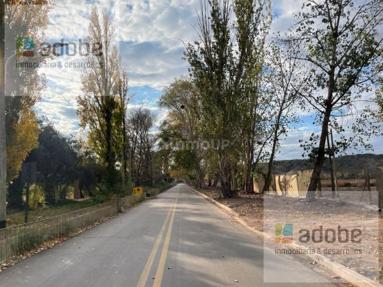 Finca en Venta en Lujan de Cuyo, Mendoza
