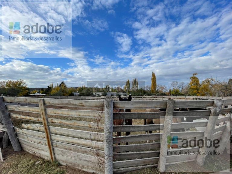 Finca en Venta en Lujan de Cuyo, Mendoza