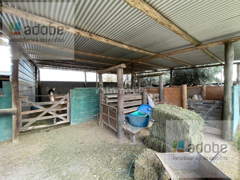 Finca en Venta en Lujan de Cuyo, Mendoza