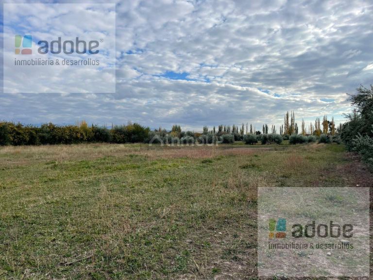 Finca en Venta en Lujan de Cuyo, Mendoza