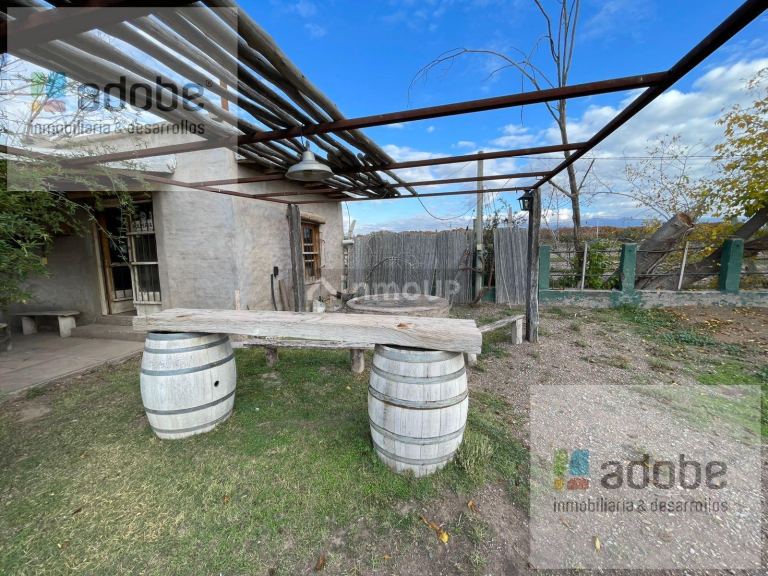 Finca en Venta en Lujan de Cuyo, Mendoza