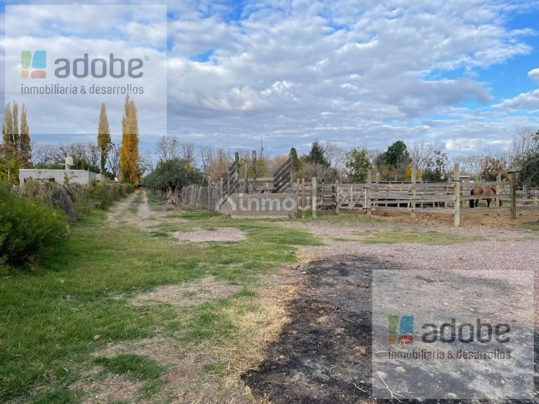 Finca en Venta en Lujan de Cuyo, Mendoza