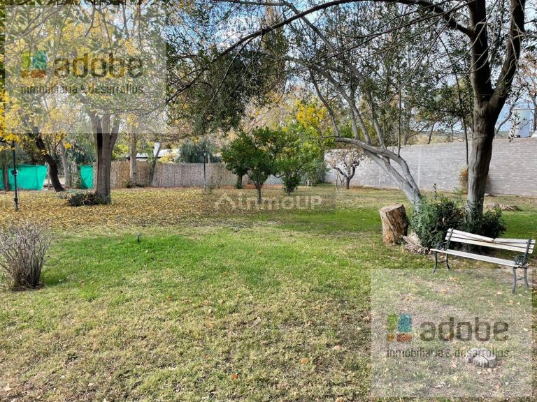 Finca en Venta en Lujan de Cuyo, Mendoza