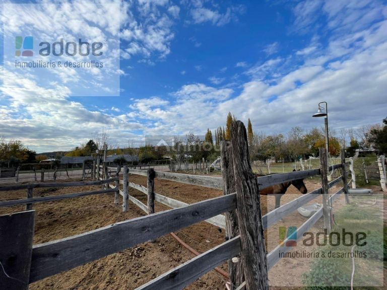 Finca en Venta en Lujan de Cuyo, Mendoza