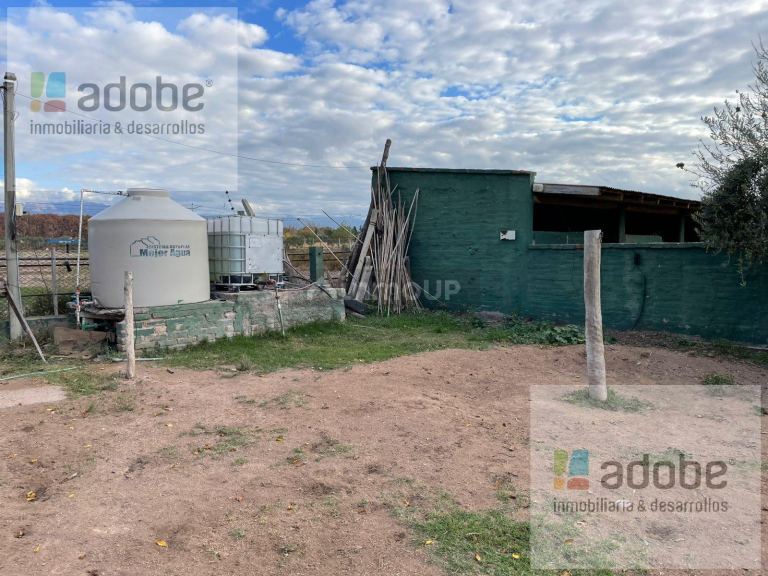 Finca en Venta en Lujan de Cuyo, Mendoza