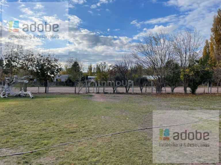 Finca en Venta en Lujan de Cuyo, Mendoza